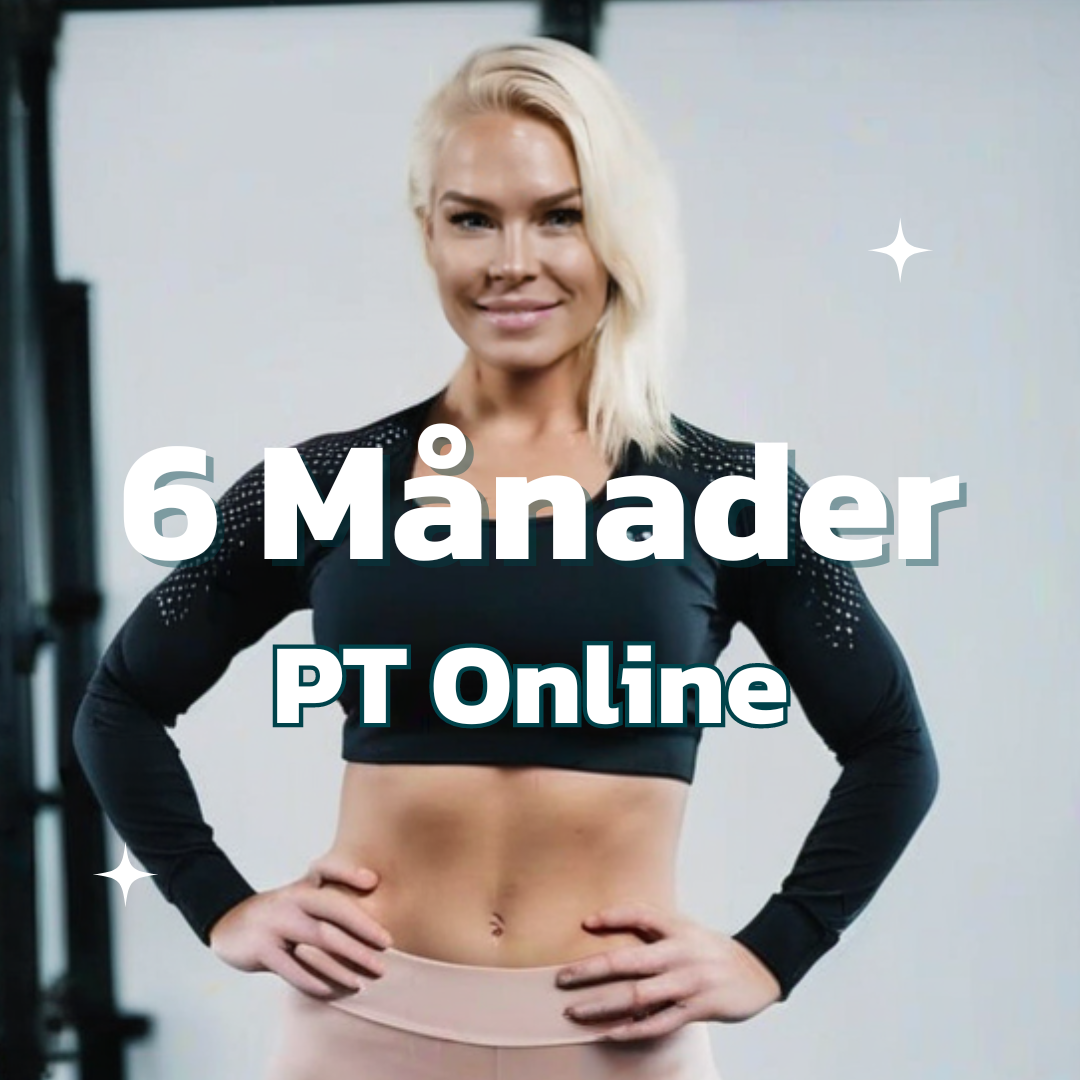 pt online program 12 månader