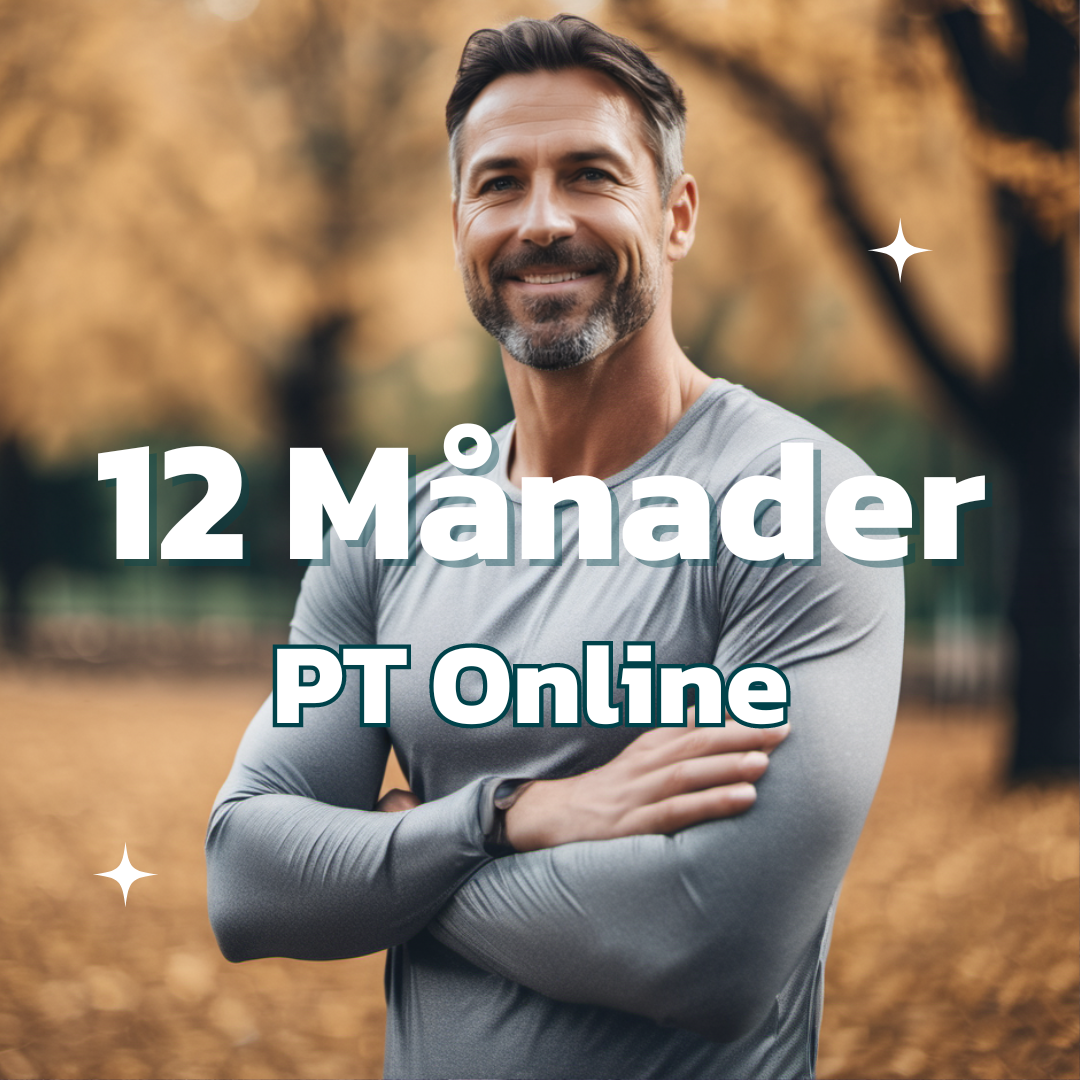 pt online program 12 månader