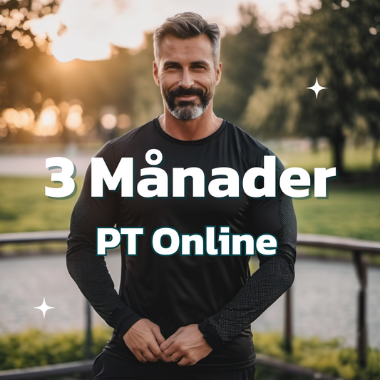 pt online program 3 månader